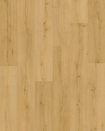 Vinyylilattia Quick Step Bloom Brushed Oak Honey, lämmin hunajainen tammen sävy ja harjattu tammikuviointi.