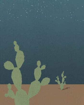Kuviollinen koristesuurlaatta ABK Wide&Style Arizona B, 120x280 cm, 6 mm, matta