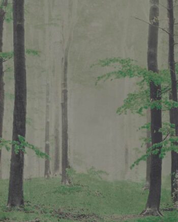 Kuviollinen koristesuurlaatta ABK Wide&Style Woods B, 160x320 cm, 6 mm, matta