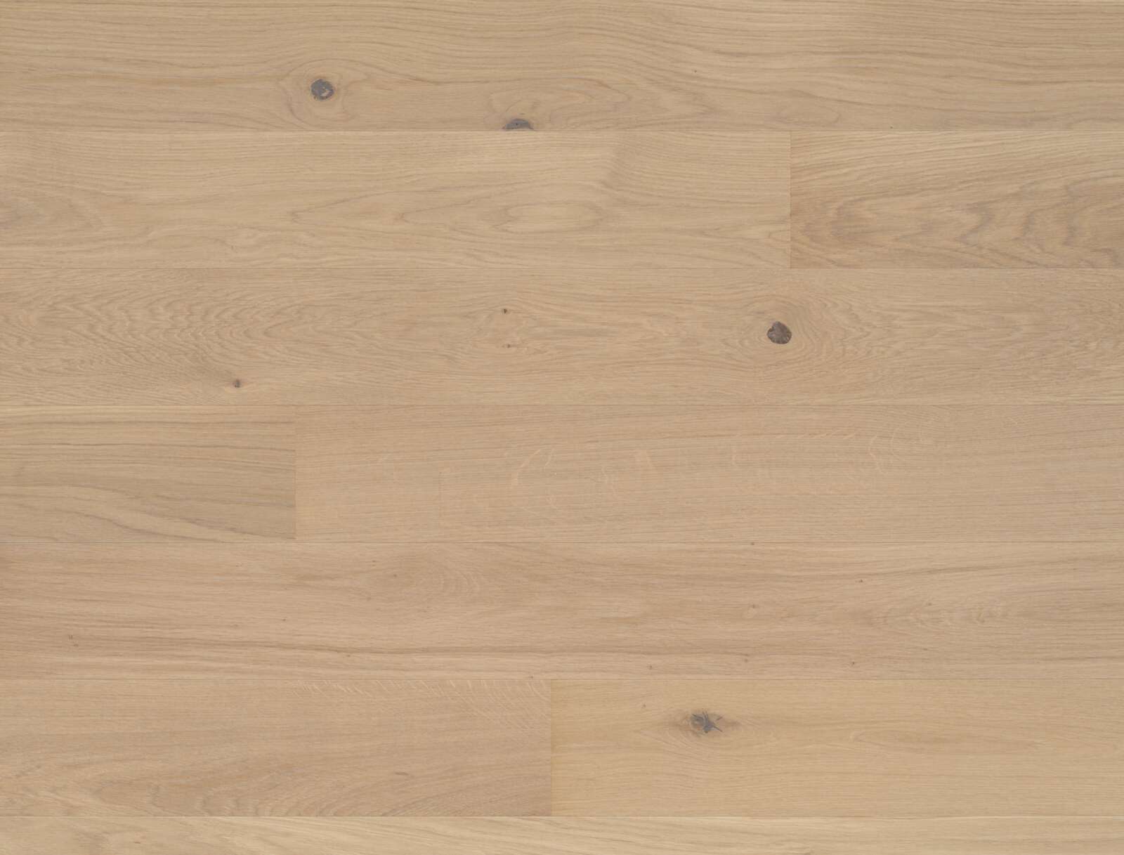 Parketti Bauwerk Studiopark tammi Avorio 15 öljytty syväharjattu