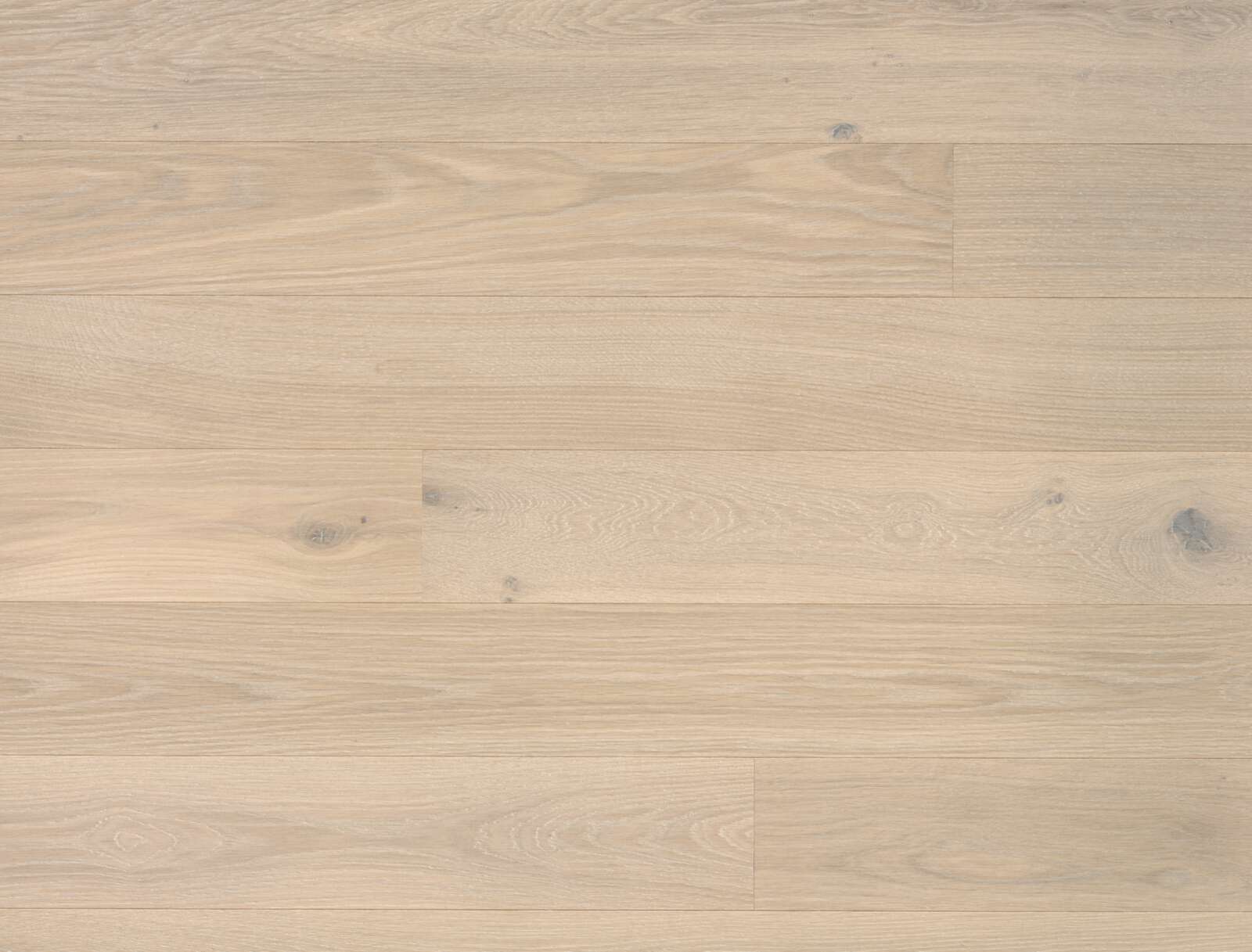 Parketti Bauwerk Studiopark tammi Farina 15 mattalakattu harjattu