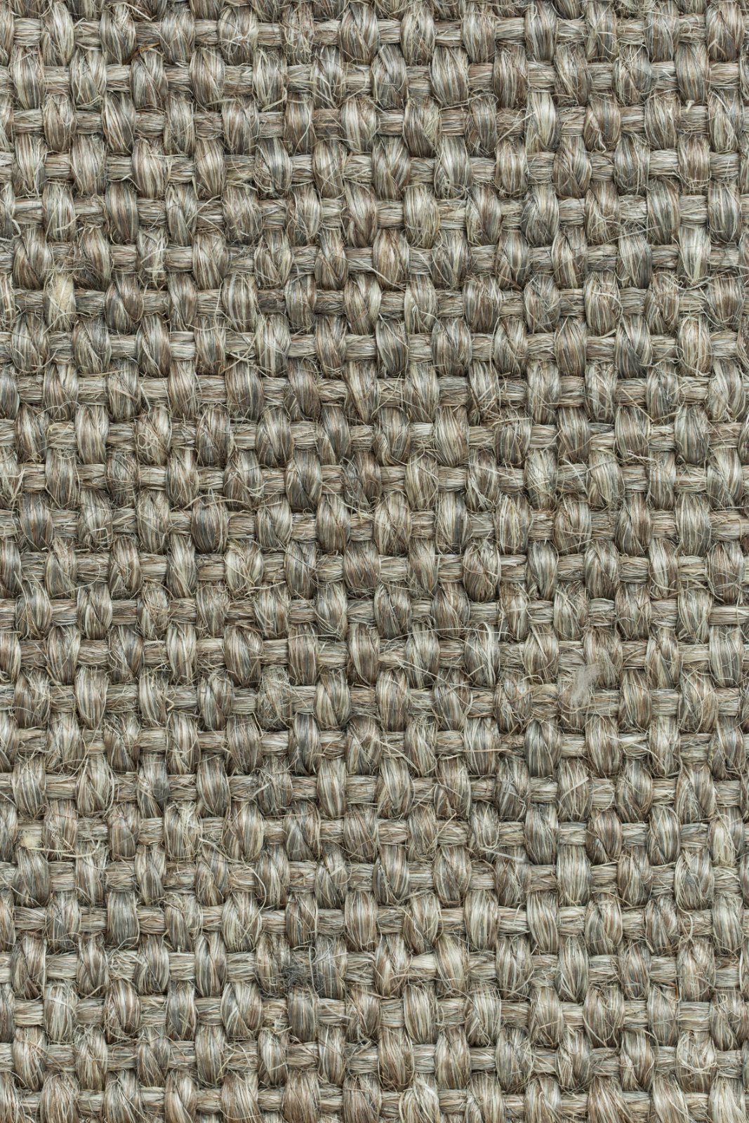 Sisal kokolattiamatto Tasibel Allegro 2814/20