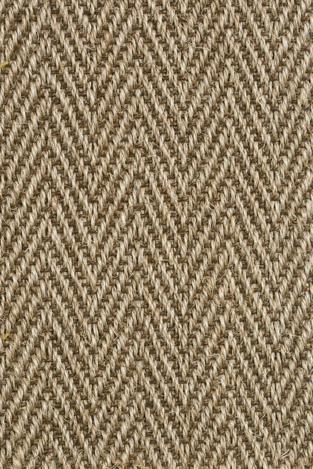Sisal kokolattiamatto Tasibel Bellevue 1414/21