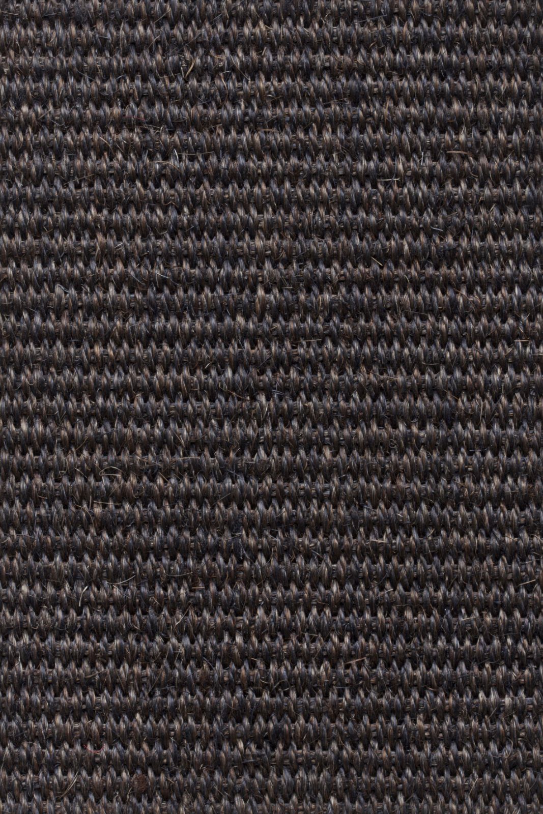 Sisal kokolattiamatto Tasibel Urban Plus 2217/21