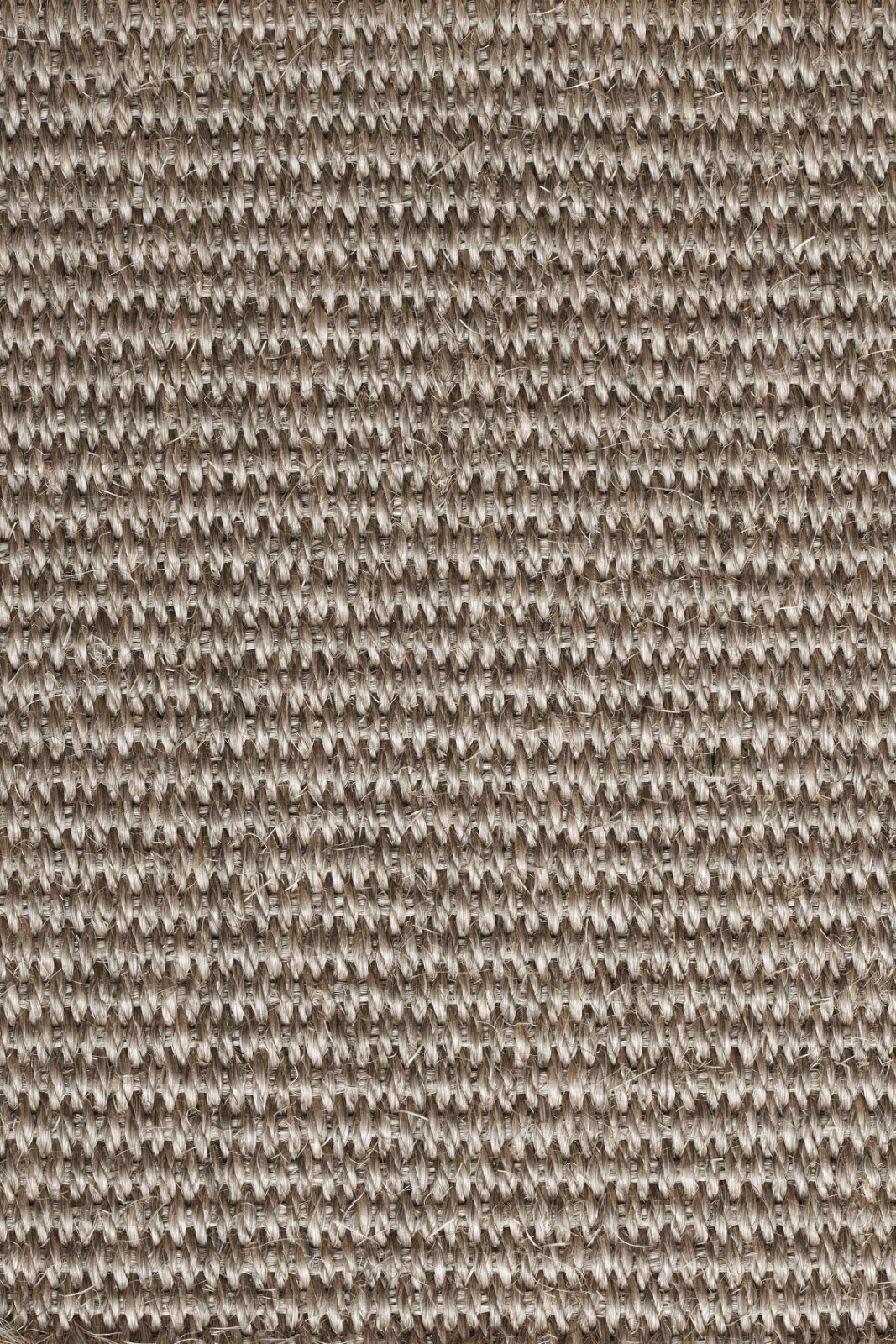 Sisal kokolattiamatto Tasibel Urban Plus 2218/21
