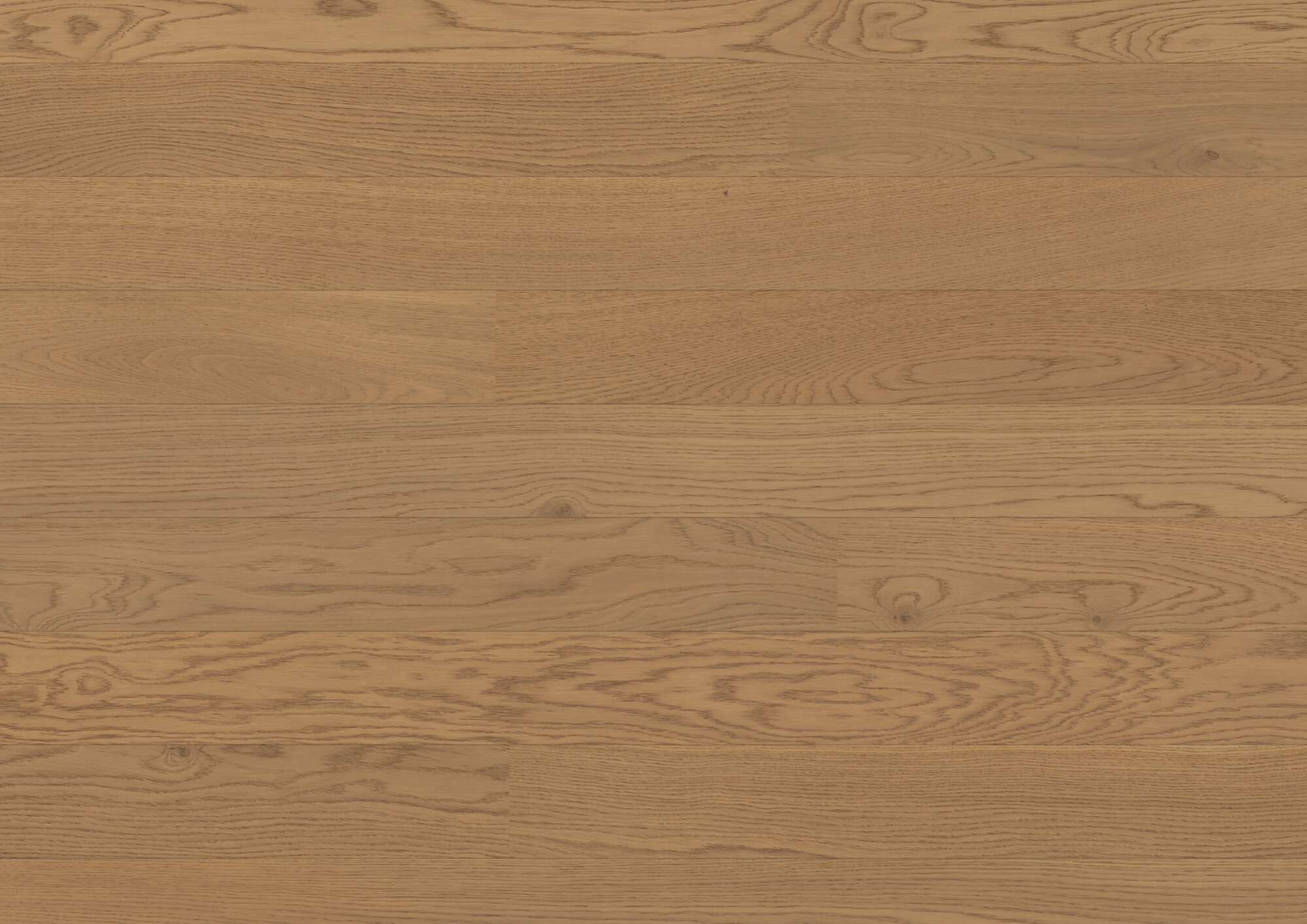 Tammeparkett Bauwerk Casapark tamm 24 Mandorla B-Protect® ultramatt lakk 138mm